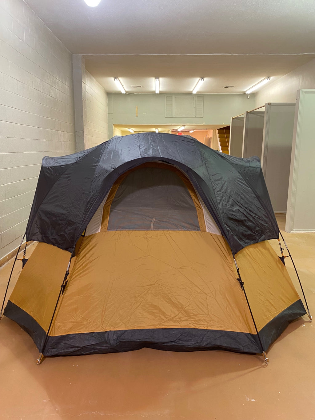 Coleman Crescent Rim 9x9 Camping (Tent) Tan/Grey