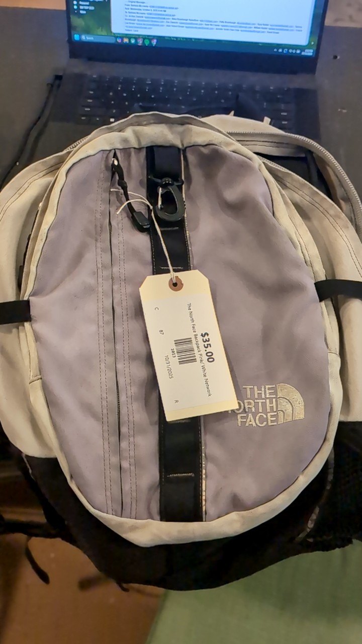 The North Face Backpack Pink/ White Network