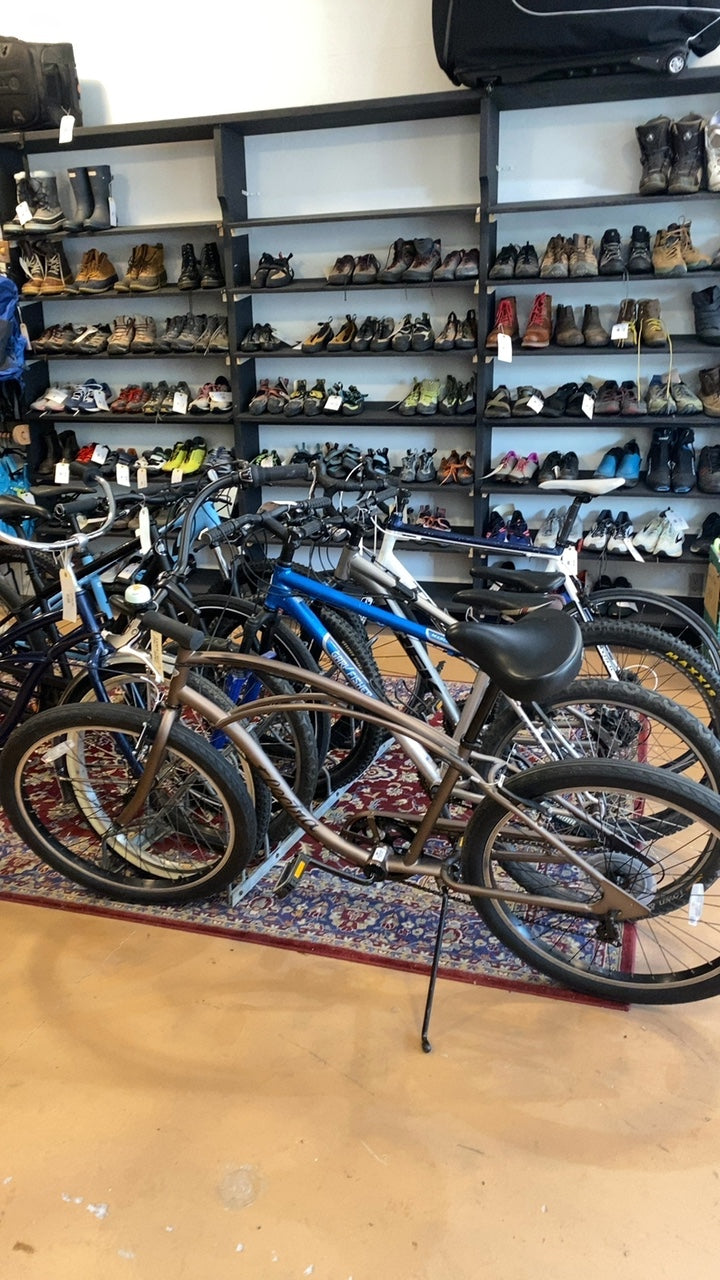 Electra Cruiser 7D Step-Over Bike Regular Brown