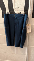 Patagonia Shorts (Biking) 32 Blue Dirt Roamer