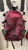 Patagonia Refugio Backpack 28L Pink