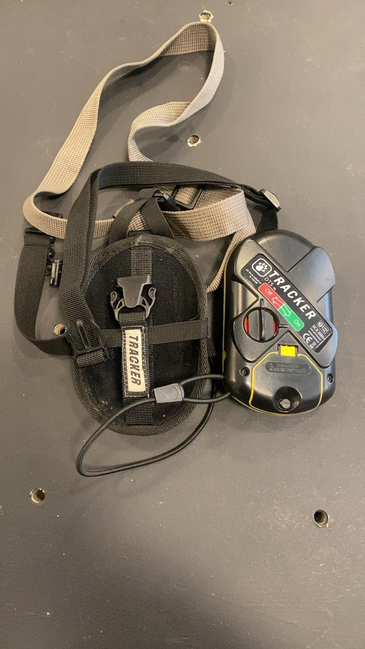 Backcountry Access Tracker DT Avalanche Beacon Black
