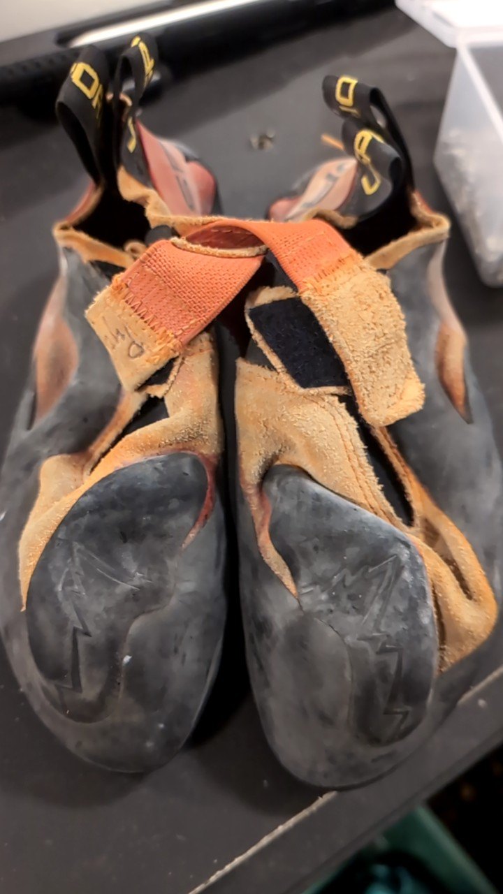 La Sportiva Shoes (Climbing) 37/5 Python