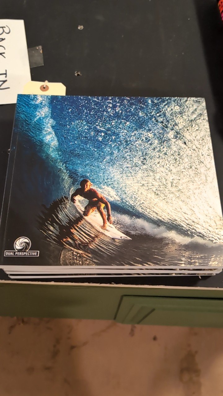 Dave Nelson Book Dual Perspective