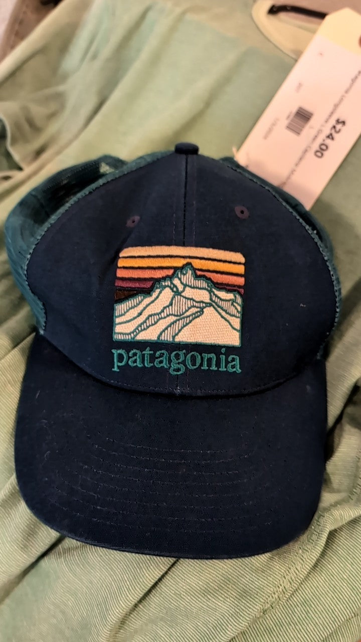 Patagonia Hat (Snapback) Blue