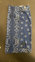 Buff Paisley Neck Gator Blue