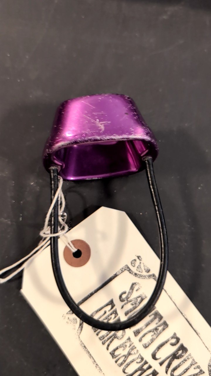Black Diamond Climbing Hardware (ATC) Purple