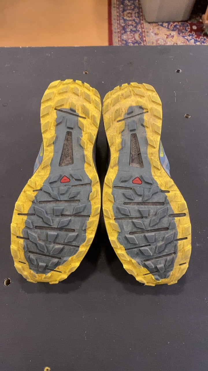 Salomon Sense Ride 4 Shoes (Running) 12 Blue