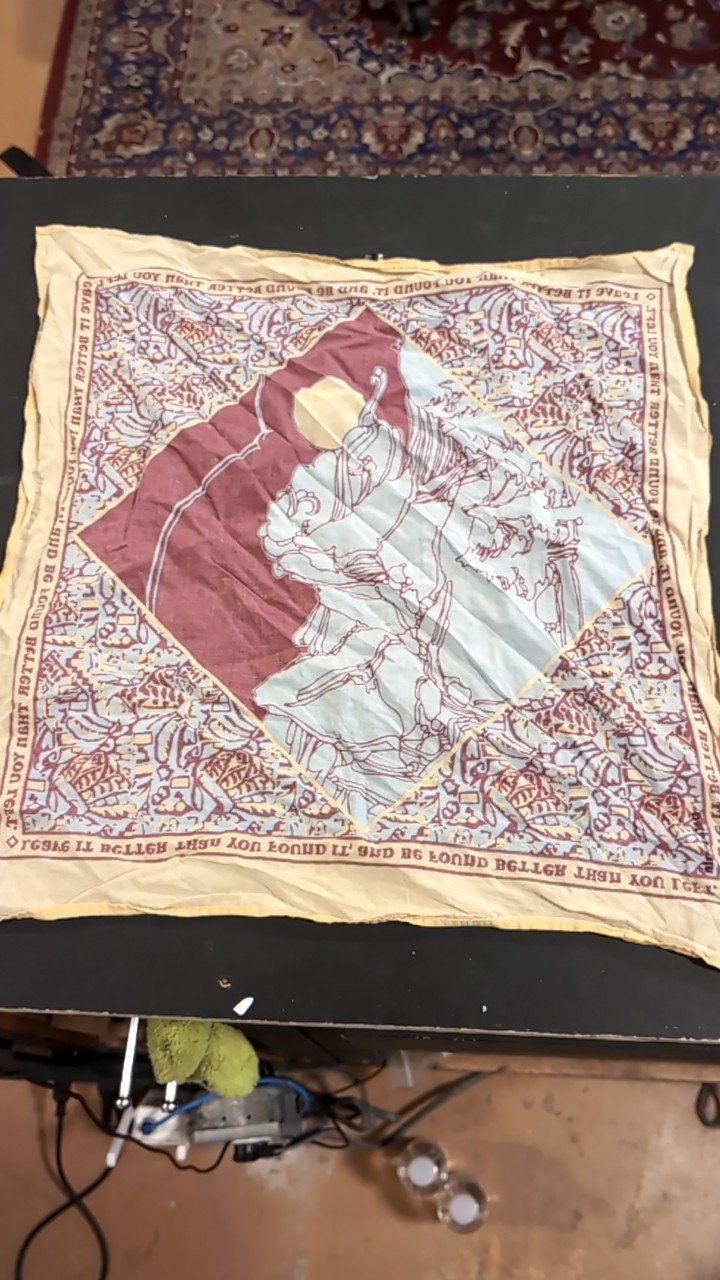 Patagonia Bandana Leave it Better than You Found It
