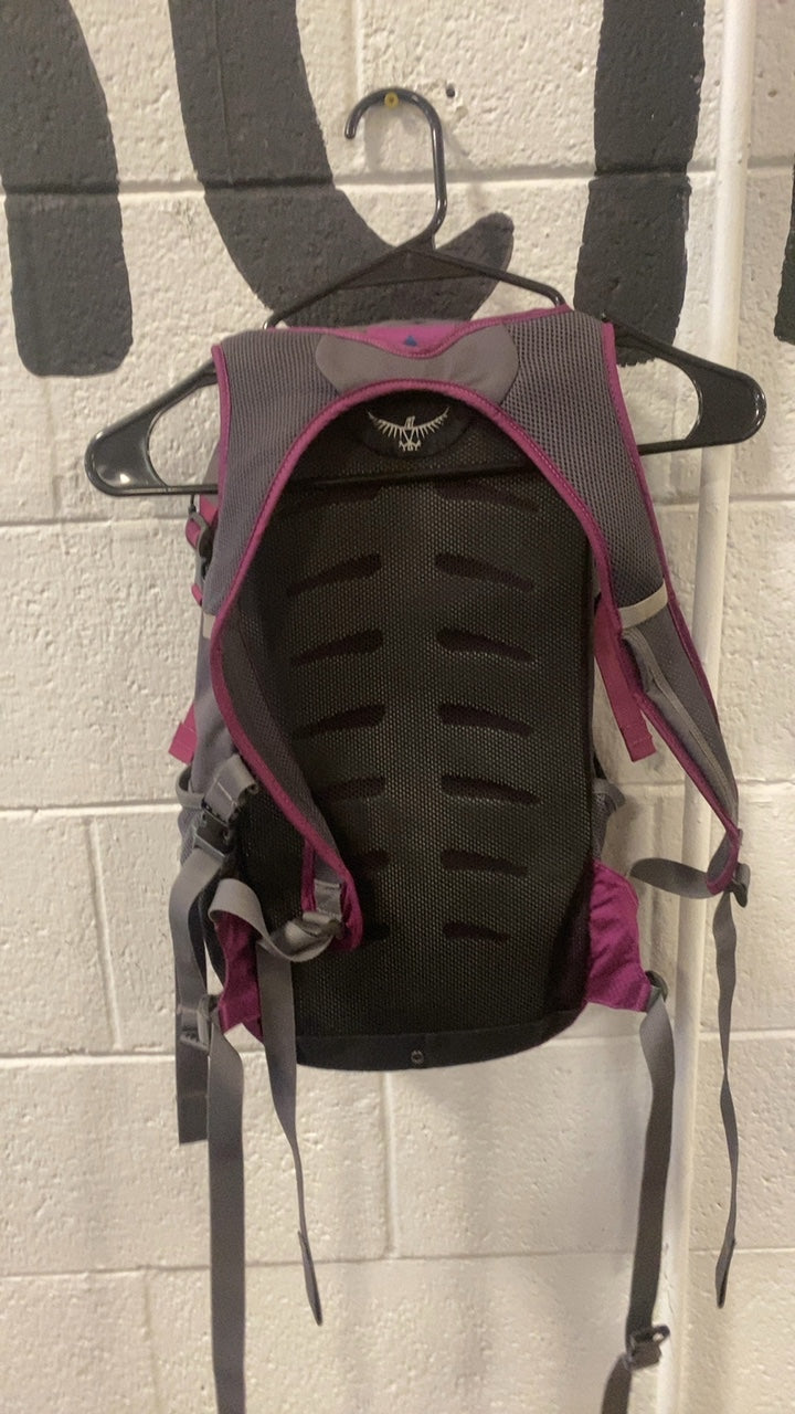 Osprey Daylite Backpack Purple/Grey