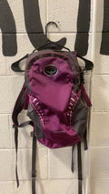 Osprey Daylite Backpack Purple/Grey