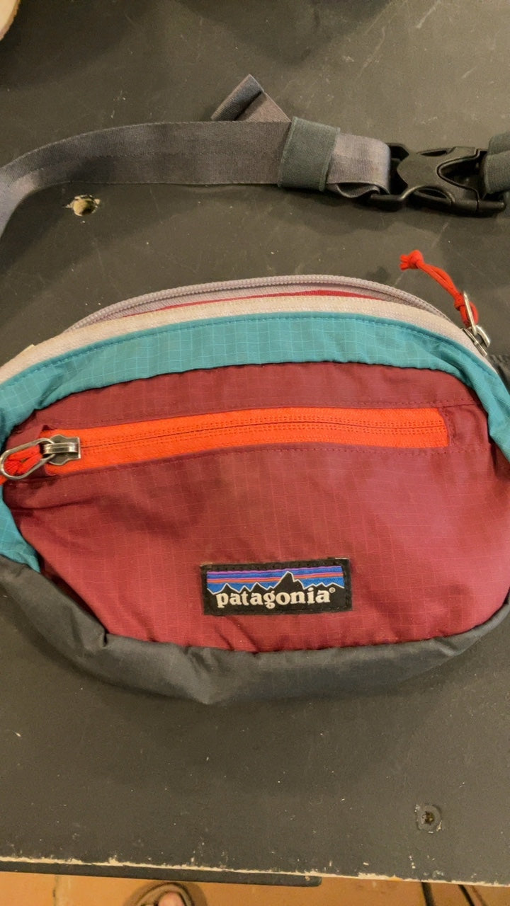 Patagonia Waistpack 1L Mini Hip Pack
