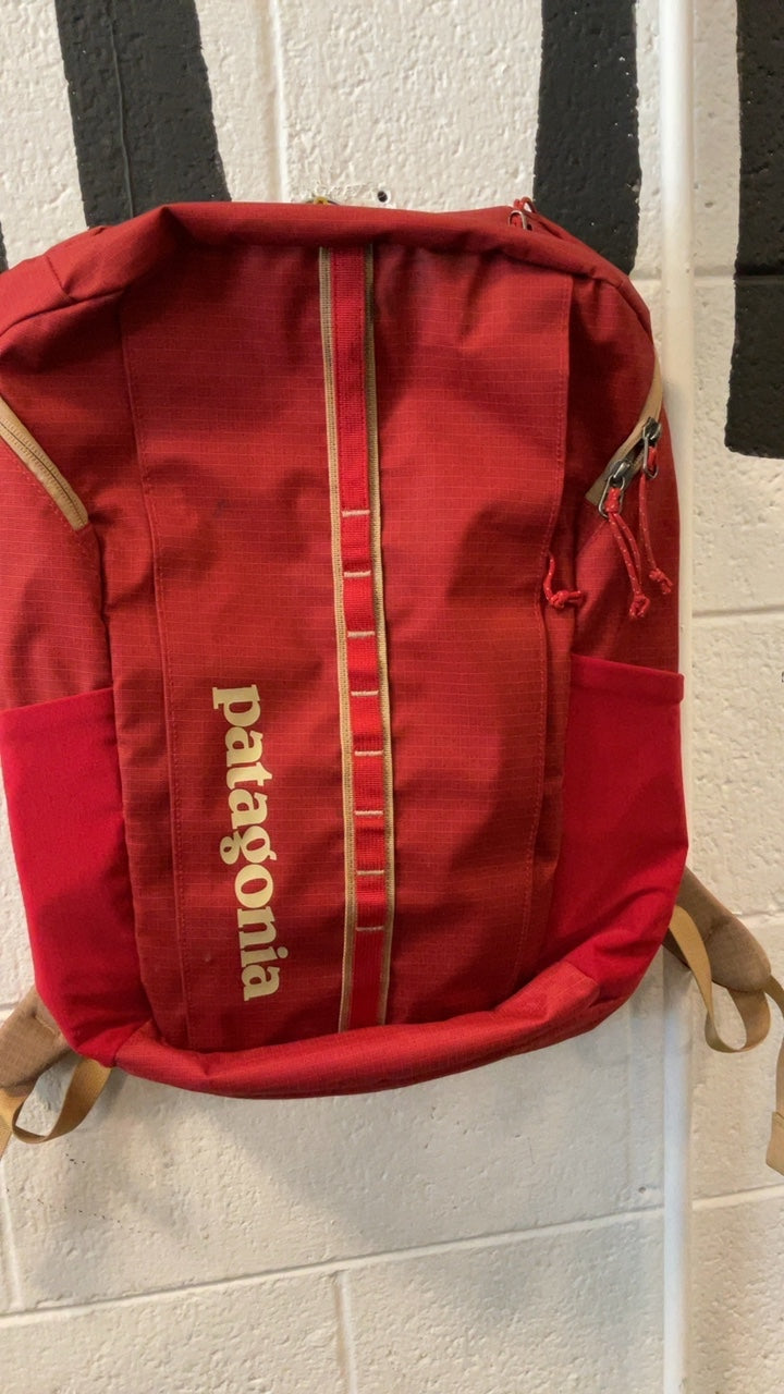 Patagonia Black Hole Backpack 25L Red/Beige