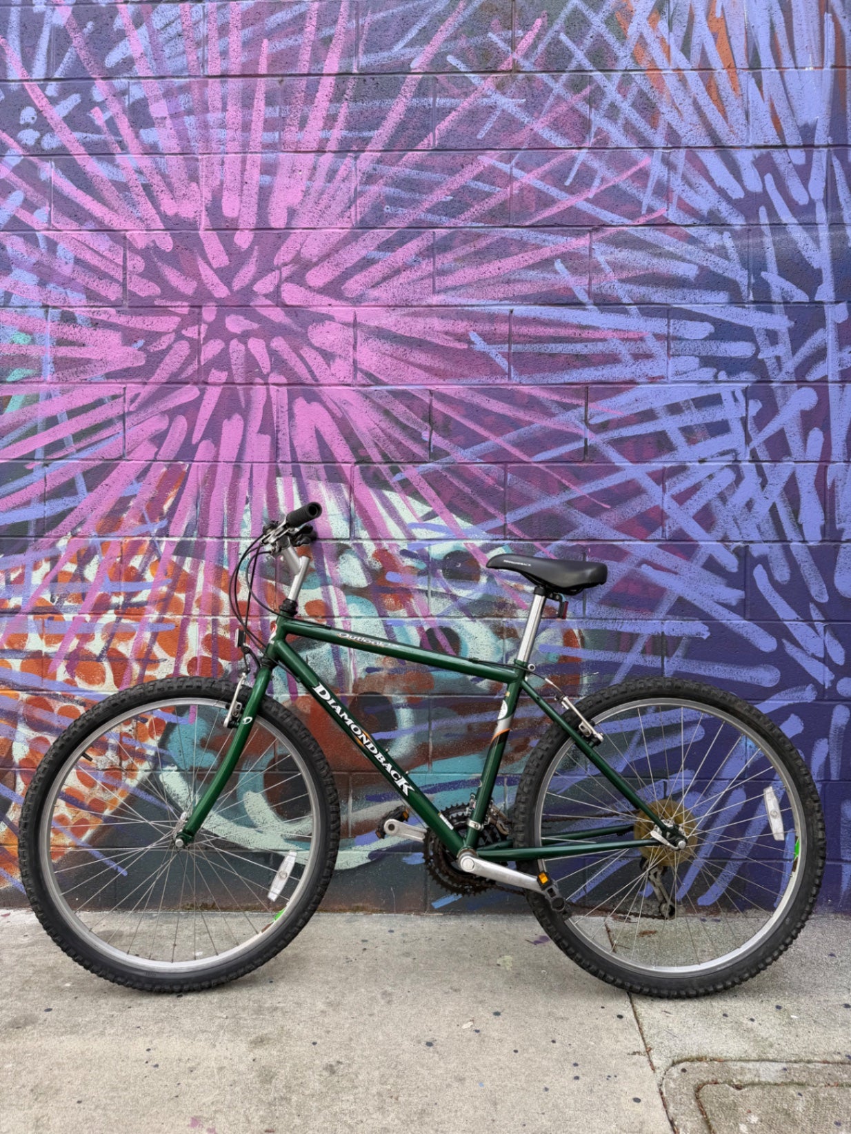 Diamondback Outback DX Bike S/16" Green