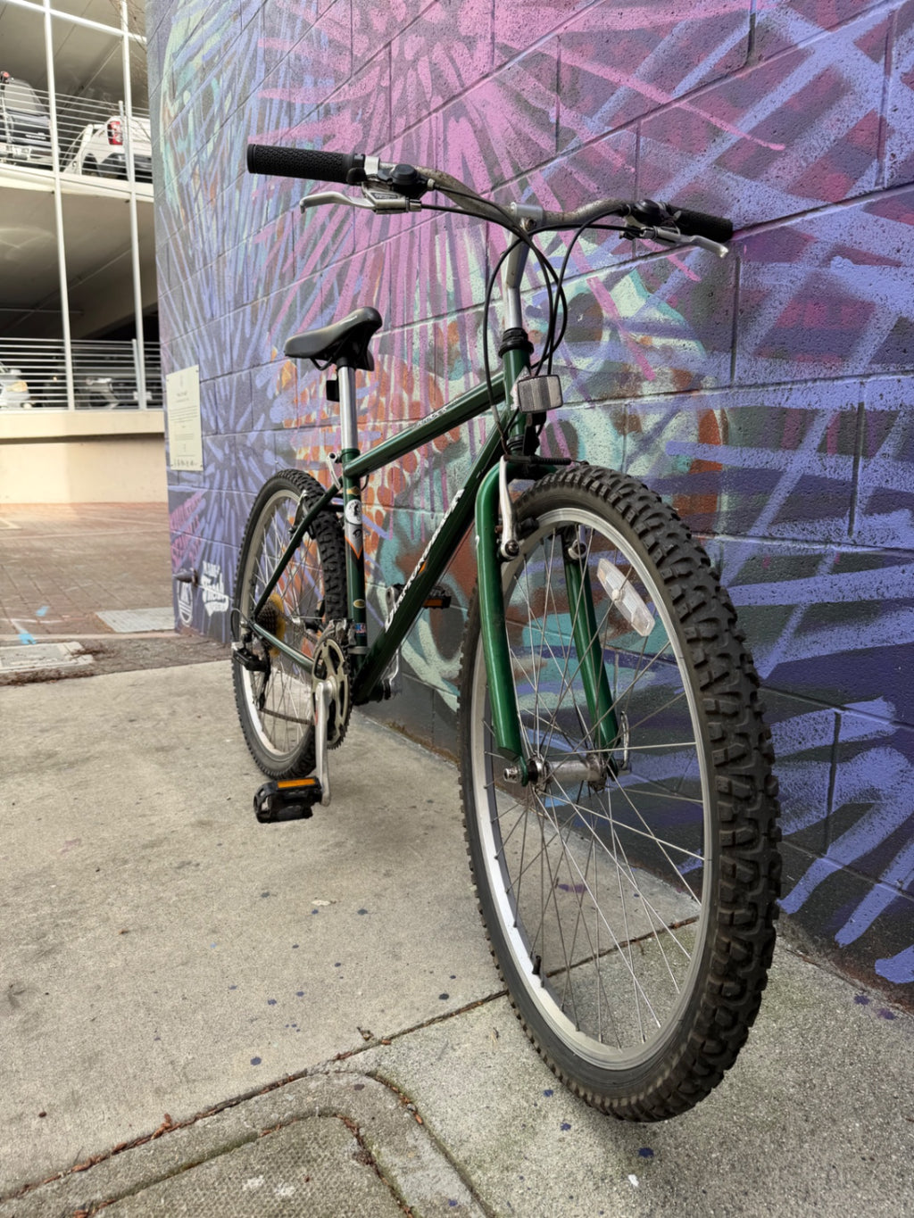 Diamondback Outback DX Bike S/16" Green