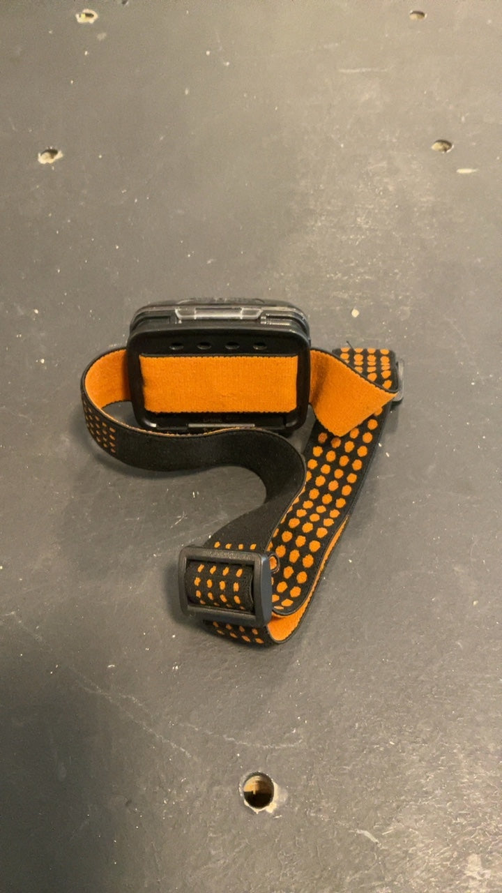 Duracell Headlamp Black/Orange (Tested) (Needs Batteries)