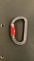 Petzl Am'D Climbing Hardware (Carabiner) Grey/Red