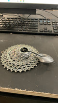 Campagnolo 11 Speed Bike Parts (Chainrings)