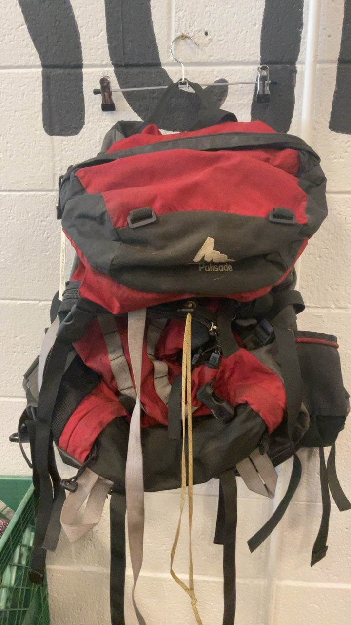 Gregory Backpack XS Red Pallisade