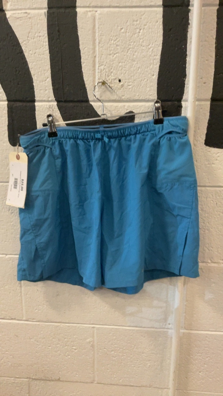 Patagonia Shorts (Running) L Blue