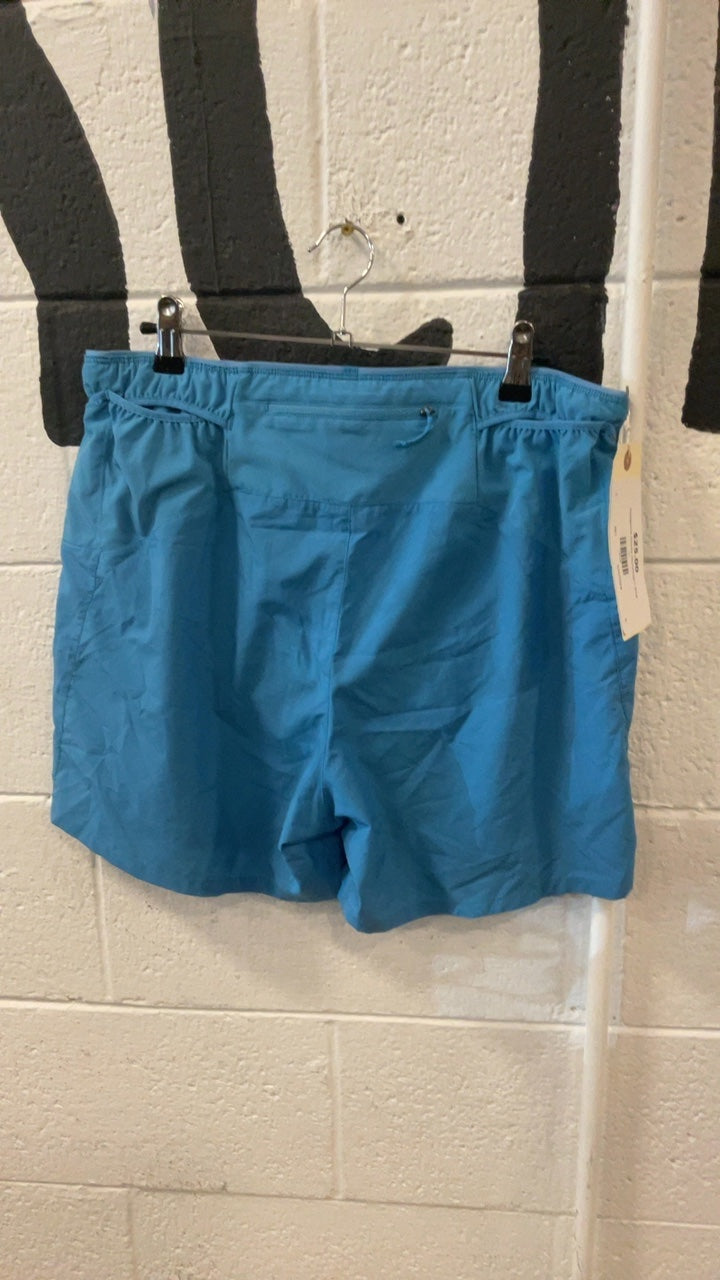 Patagonia Shorts (Running) L Blue
