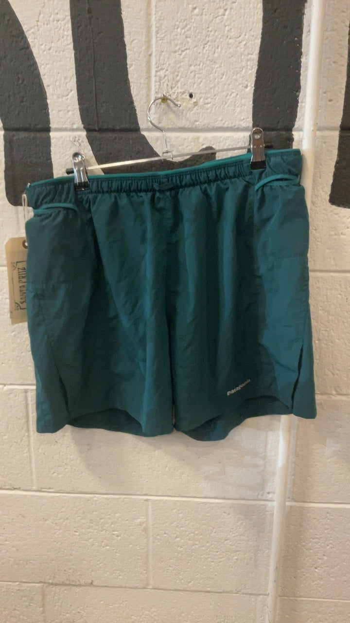 Patagonia Shorts (Running) L Light Green