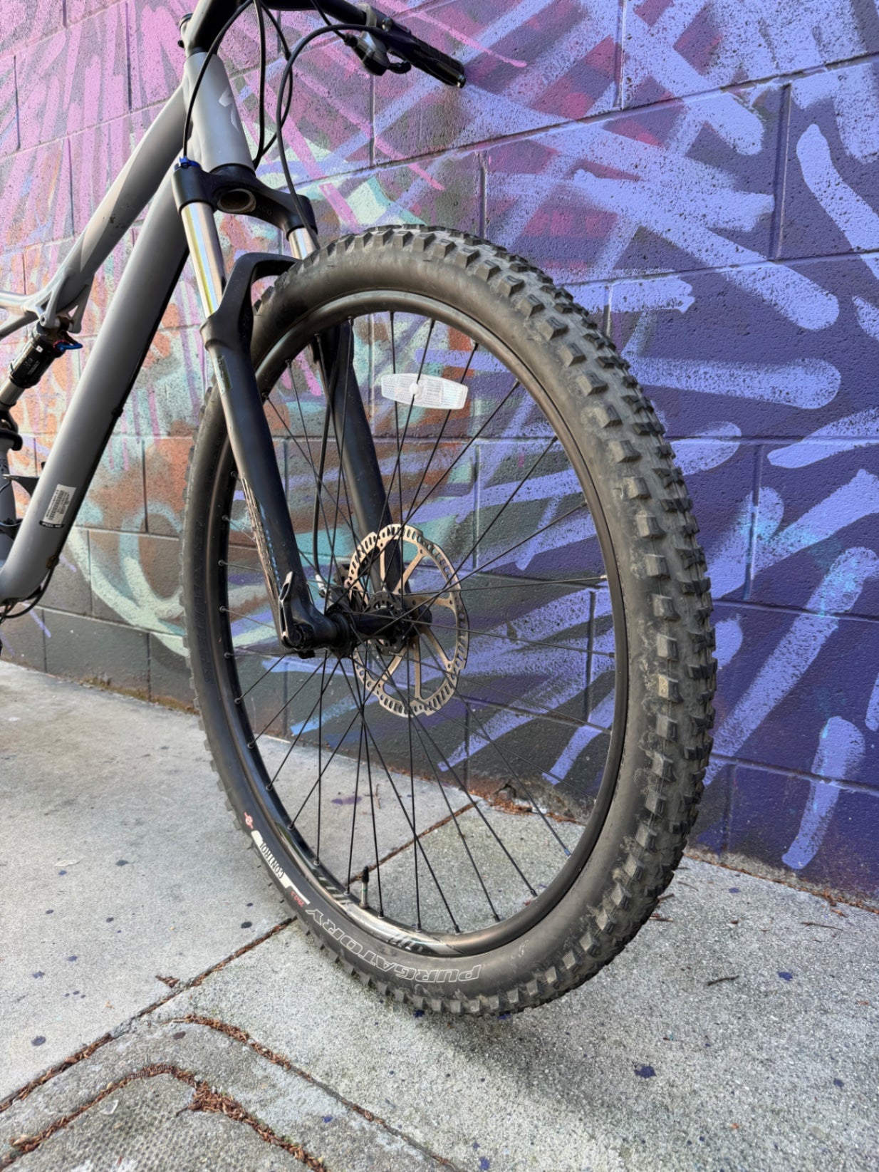 2017 Specialized Camber 29 Bike XL Grey