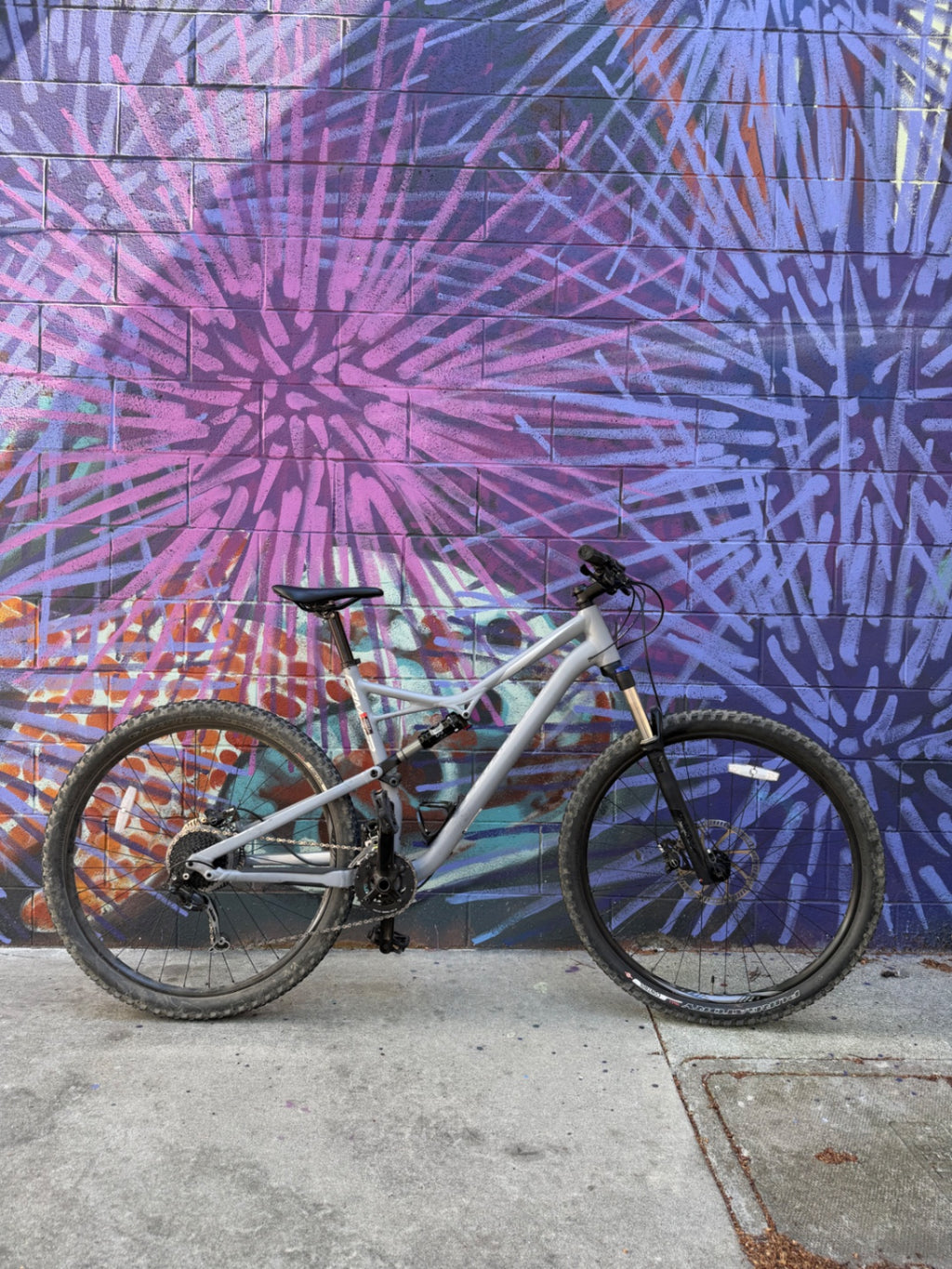 2017 Specialized Camber 29 Bike XL Grey