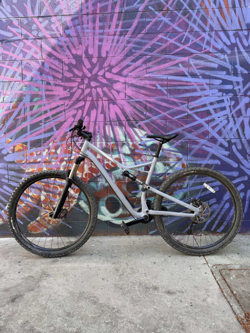 2017 Specialized Camber 29 Bike XL Grey