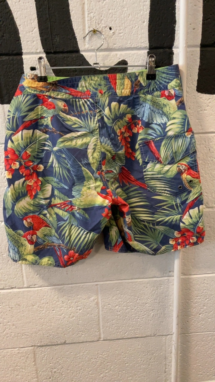 Polo by Ralph Lauren Shorts (Swimming) 30 Blue/Green