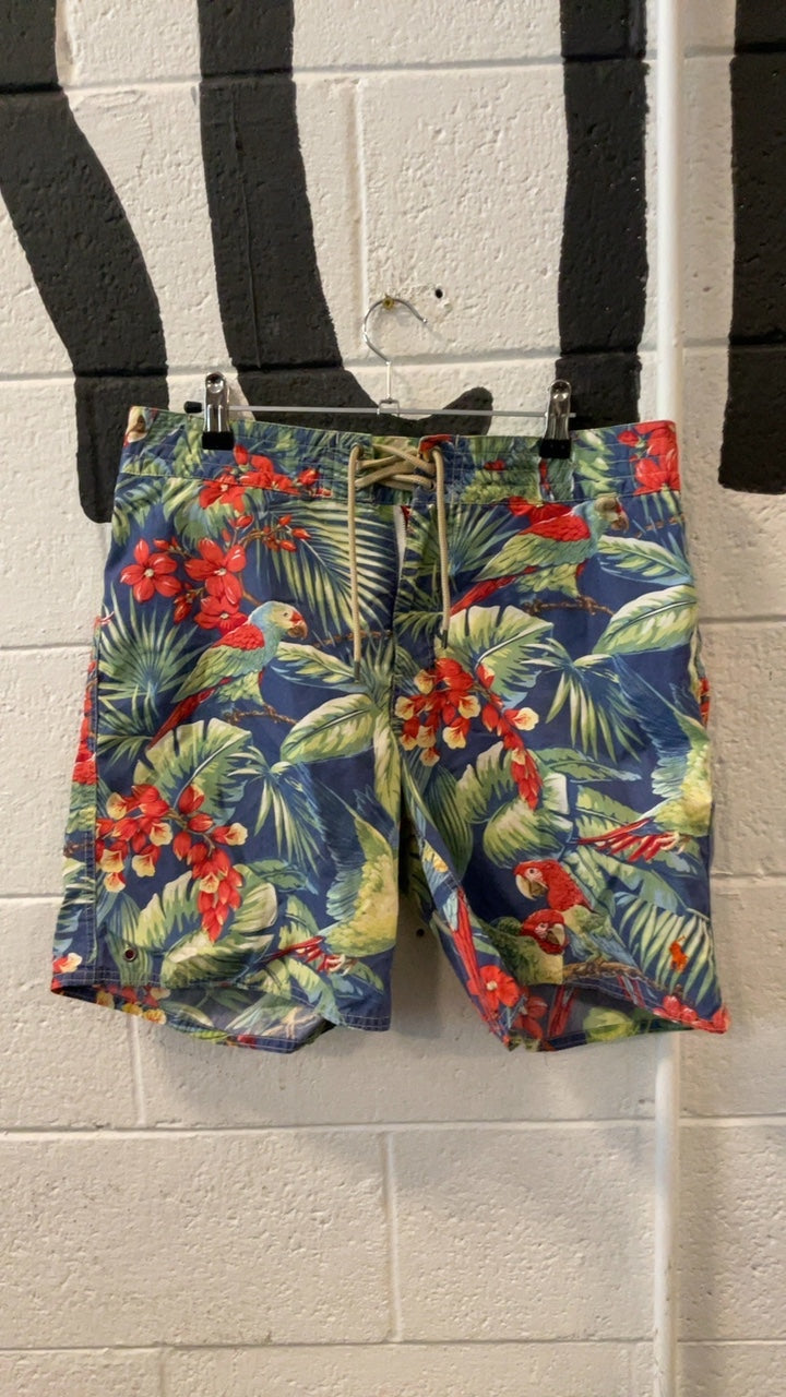 Polo by Ralph Lauren Shorts (Swimming) 30 Blue/Green