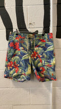 Polo by Ralph Lauren Shorts (Swimming) 30 Blue/Green