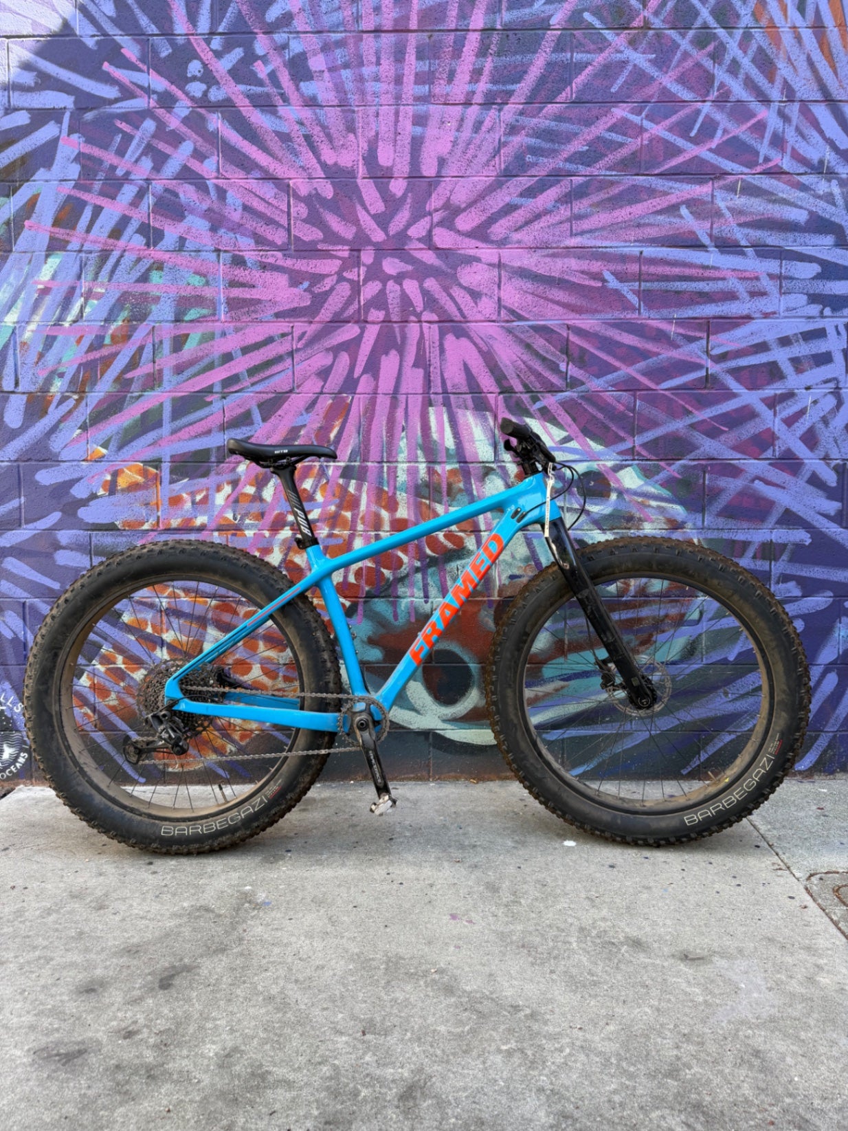 Framed Bike S/M Blue Fat Tire