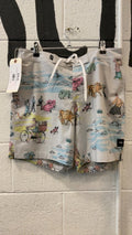 Vans Shorts (Board) 32 Grey/Multi-Color