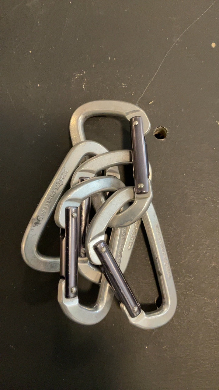 Black Diamond Climbing Hardware (Carabiner) Silver