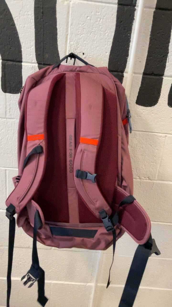 Cotopaxi Backpack 42L Pink Allpa