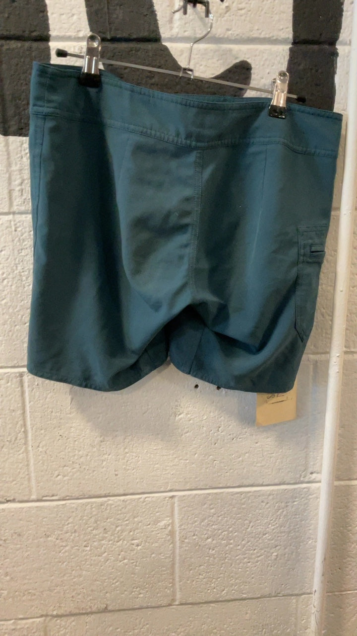 Patagonia Shorts 0 Blue