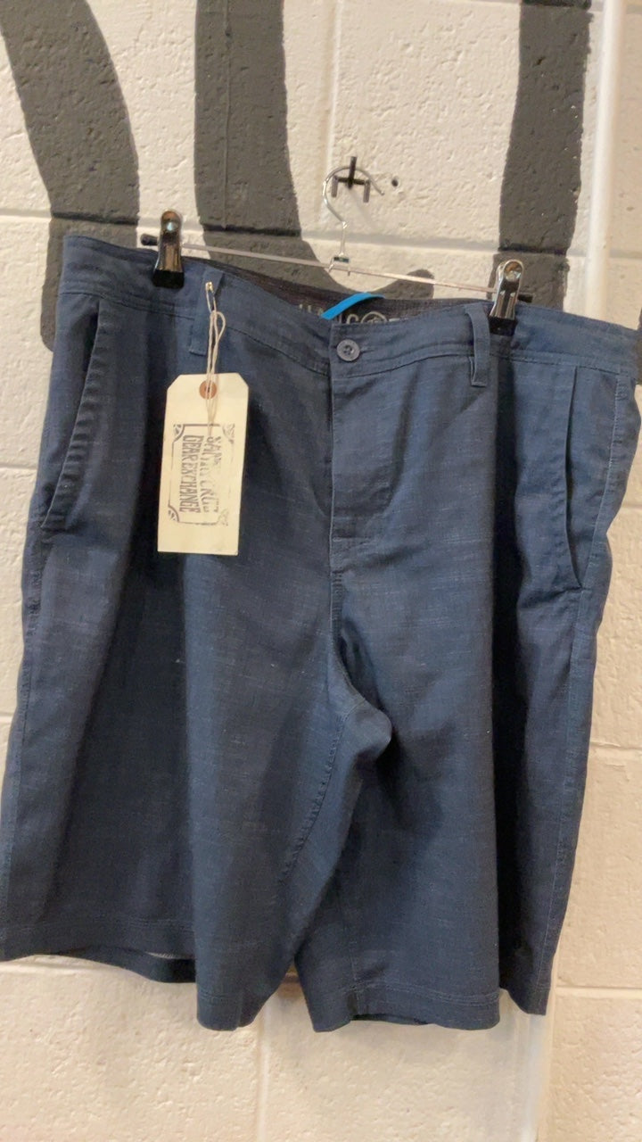 Hang Ten Shorts (Board) 34 Blue