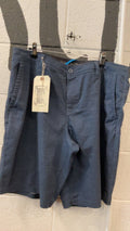 Hang Ten Shorts (Board) 34 Blue