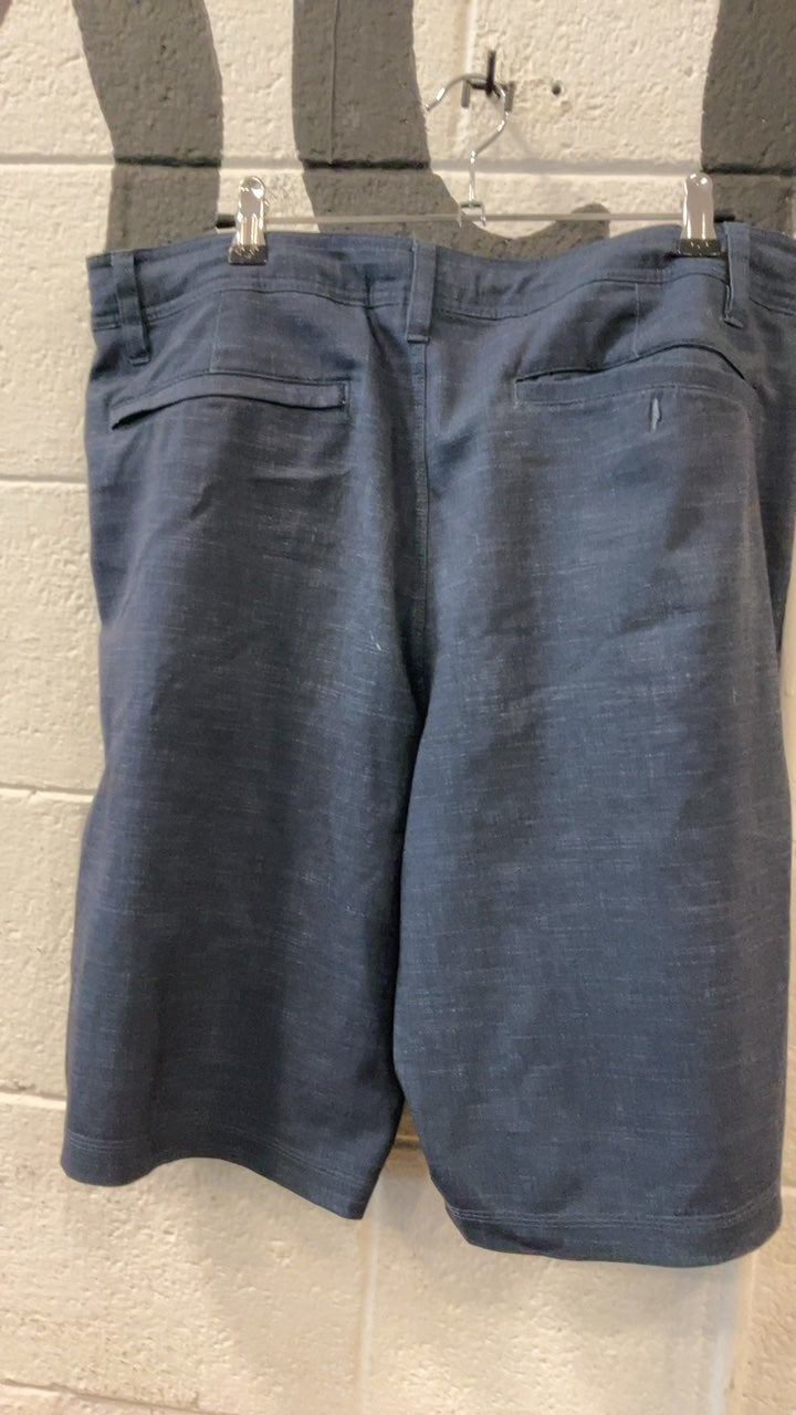 Hang Ten Shorts (Board) 34 Blue