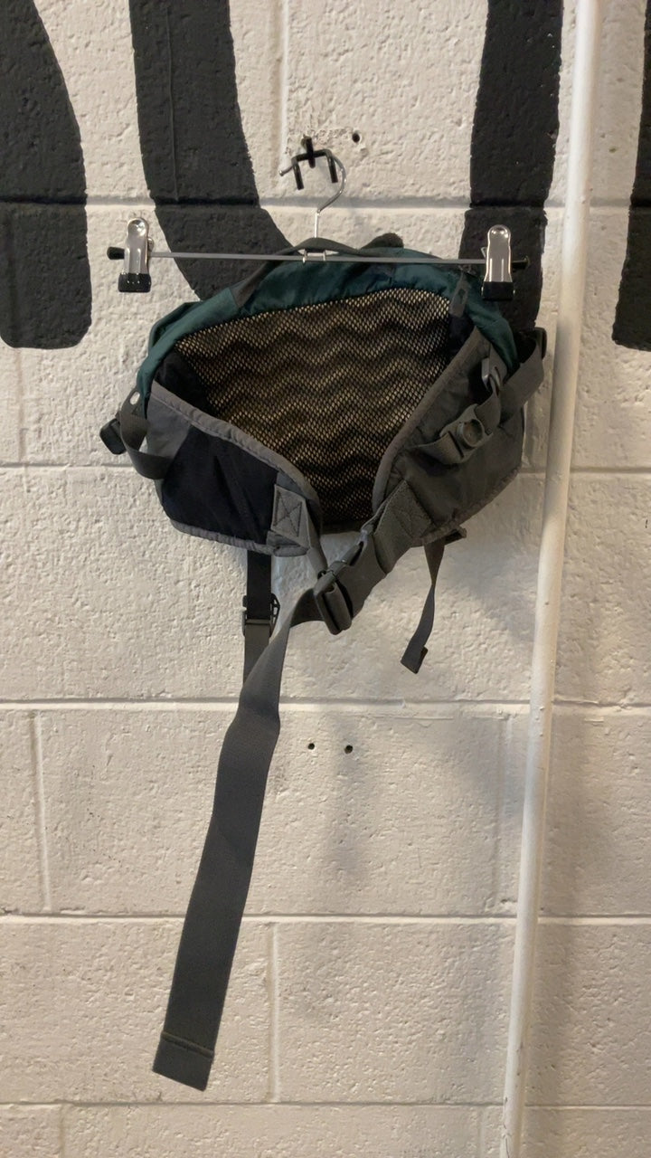 Dakine Waistpack Blue