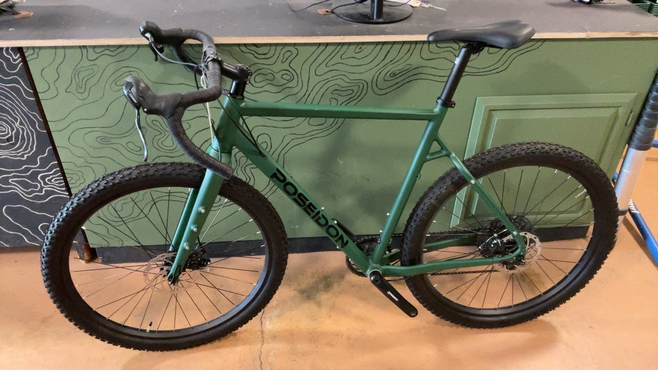 Poseidon Bike XL Redwood Green
