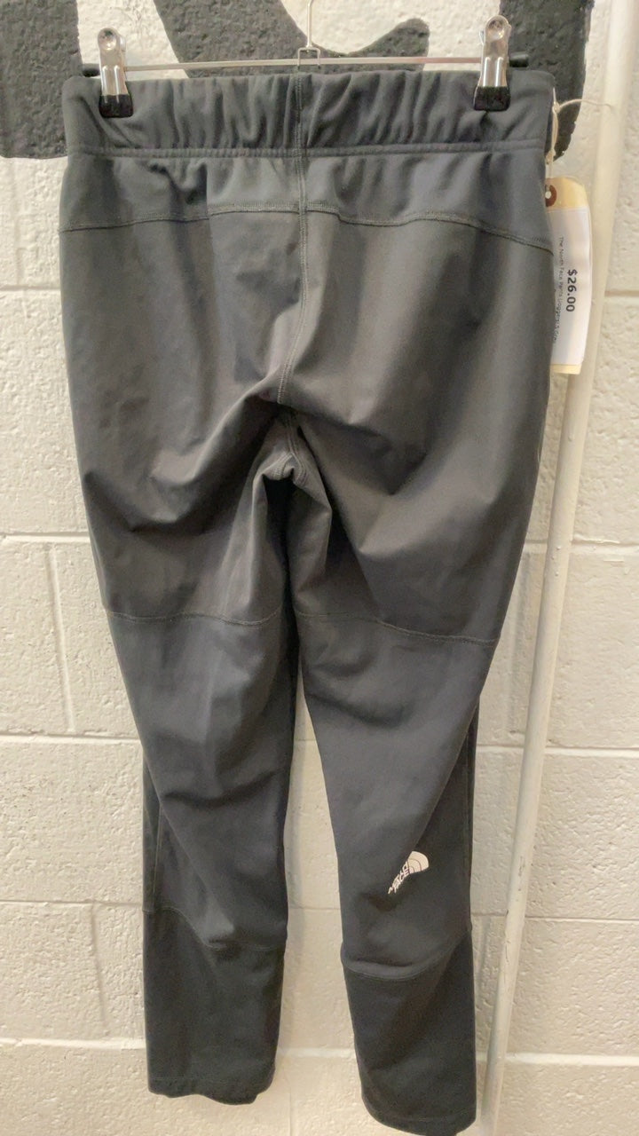 The North Face Pants (Joggers) S Grey