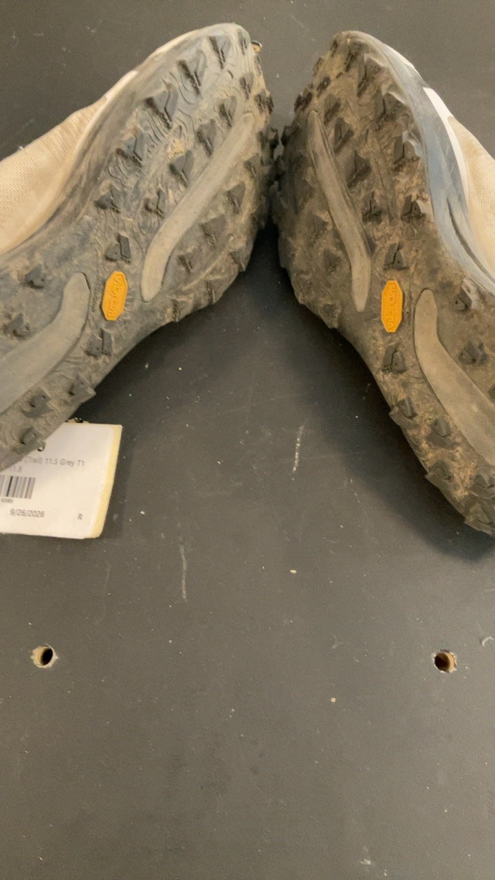Mount to Coast Shoes (Trail) 11.5 Grey T1