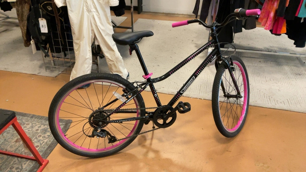 Guardian Bike Youth Ethos 24in Black
