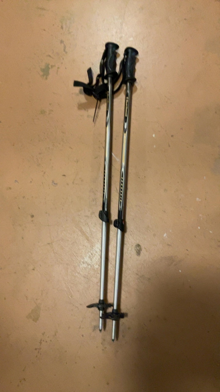 Black Diamond Poles (Ski) Adjustable Silver Traverse