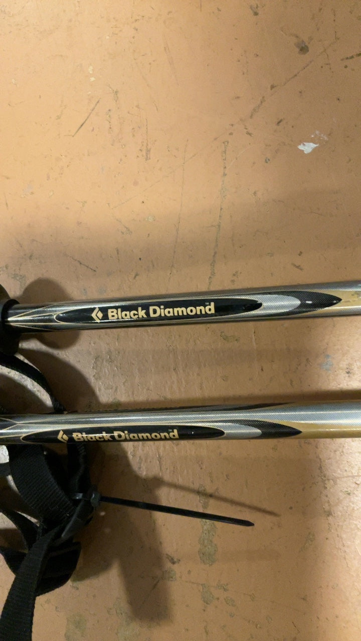 Black Diamond Poles (Ski) Adjustable Silver Traverse