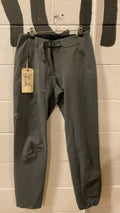 Arcteryx Pants (Hiking)(Slim-Fit) Mens 30 Gray Gamma Pants